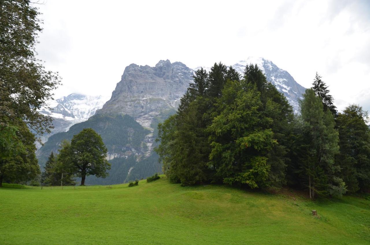 Apartment Grindelwaldgletscher - Griwa Rent Ag Zewnętrze zdjęcie