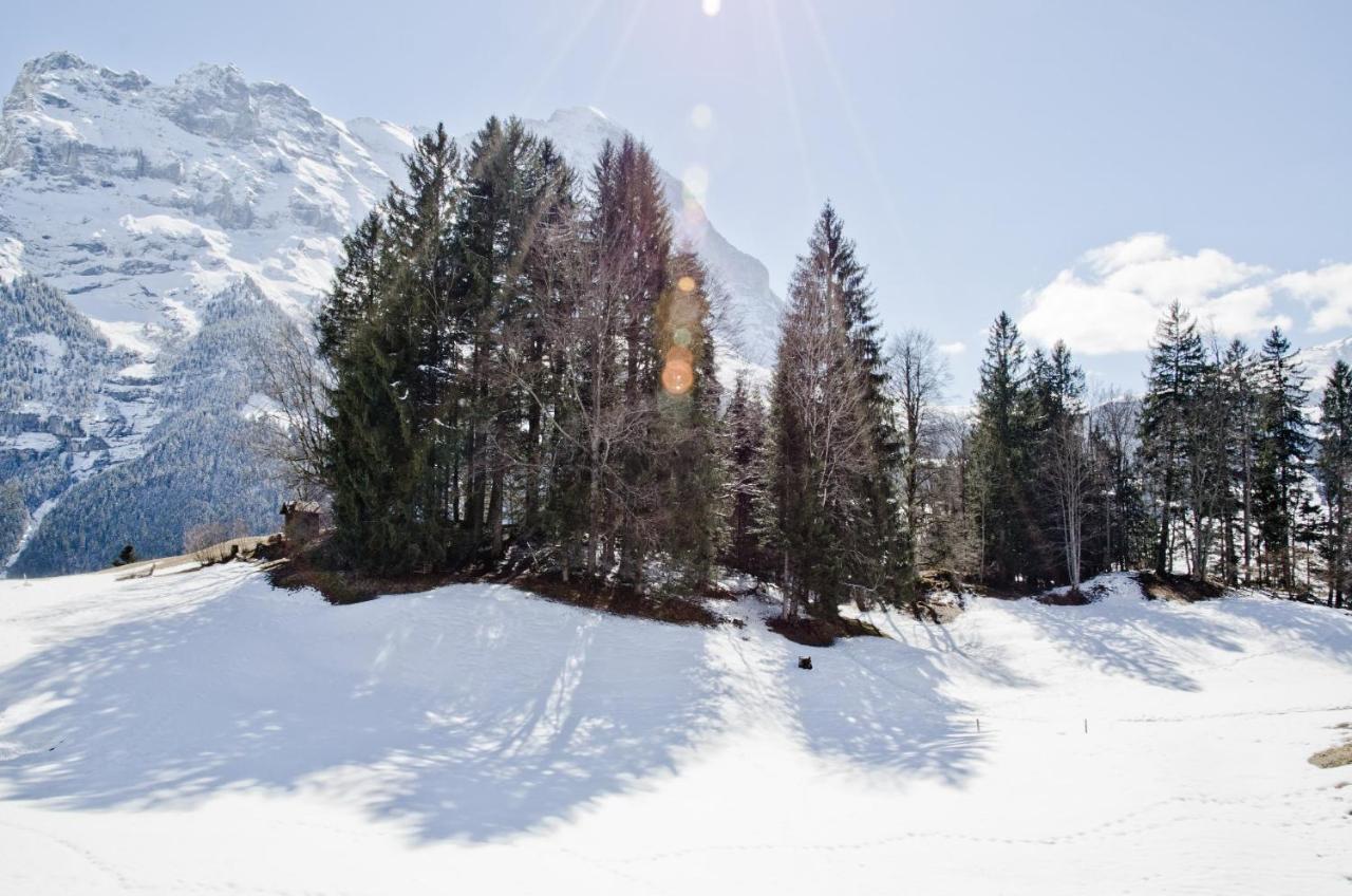 Apartment Grindelwaldgletscher - Griwa Rent Ag Zewnętrze zdjęcie